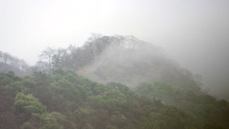 Hermosa-Foto-Del-Bosque-Temprano-En-La-Mañana