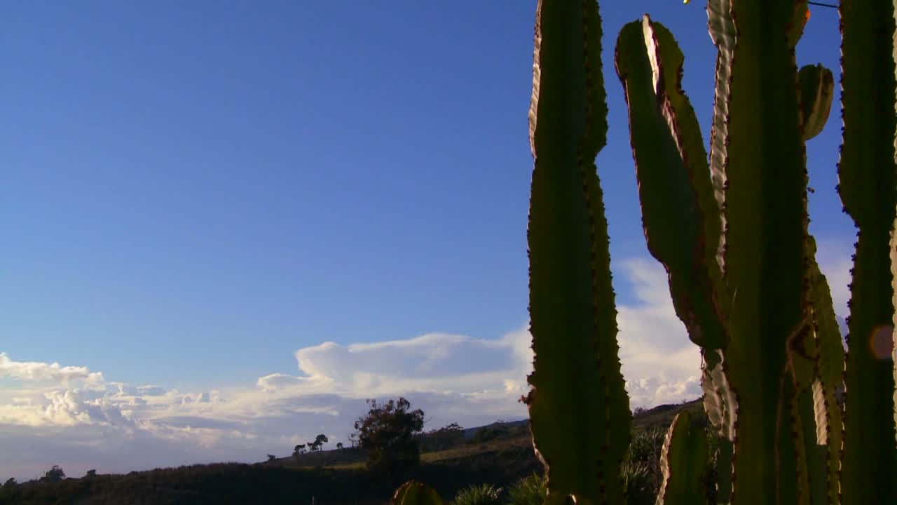 hermosas nubes detrás de una montaña y cactus a lo largo de la costa central de california