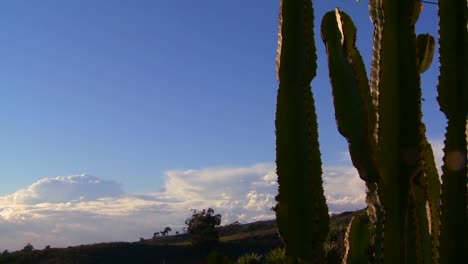 hermosas nubes detrás de una montaña y cactus a lo largo de la costa central de california