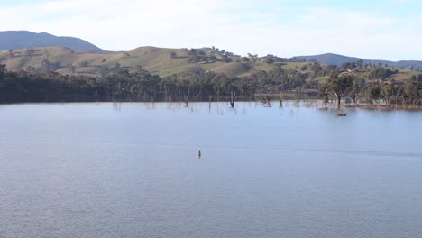 Eine-Weitwinkelaufnahme-Des-Lake-Eildon-In-Victoria-Mit-Abgestorbenen-Bäumen,-Die-Aus-Dem-Wasser-Ragen