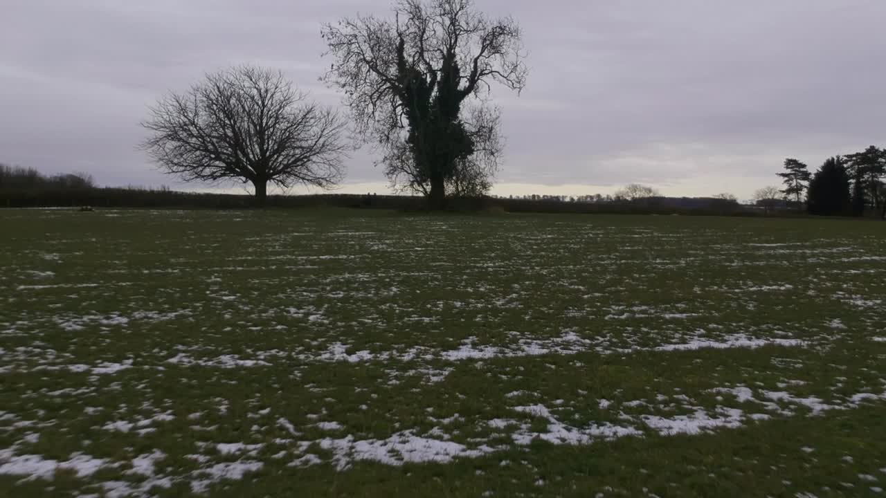 내 지역의 아름다운 나무