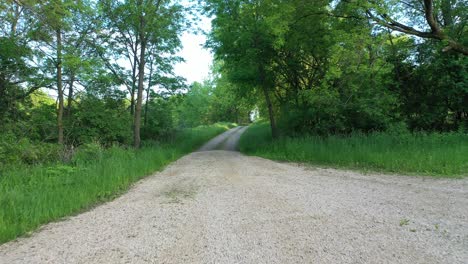 country road through the forest