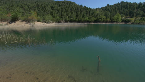 National-park-mountain-lake-with-clear-calm-water,-spring-landscape,-panning-shot