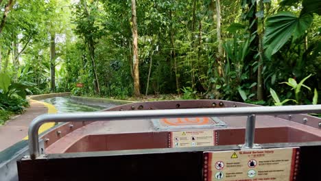 pov handheld shot of amazon river quest water ride at singapore river wonders, safari zoo, mandai reserves capturing beautiful lush green vegetations and foliage environment with sunlight