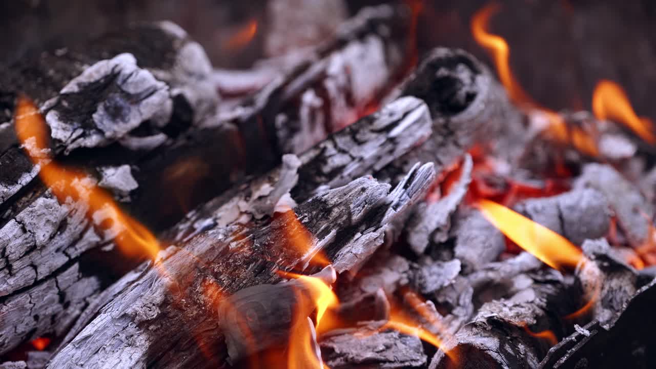 Many hundred dollars bill falling into the burning fire. Hand throws some banknotes of one hundred American dollars into the burning firewood. Close-up.