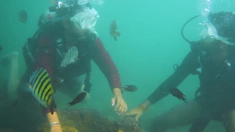 dos amigos disfrutando del buceo en el azul profundo del mar árabe y tratando de pescar bajo el agua