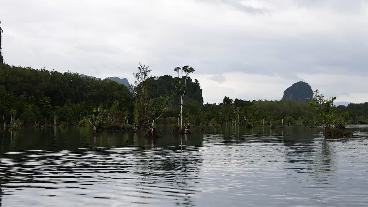 울창한 초록색 가운데 은 운하를 탐험하는