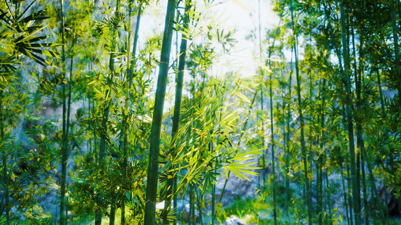 hermoso bosque de bambú verde