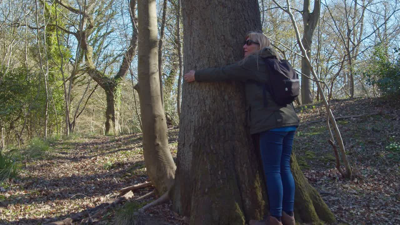 A young Caucasian women hugs a tree in a forest early summer North Yorkshire UK. Love and nature concept.