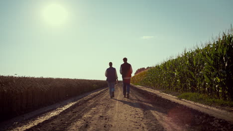 Agronomists-walking-ground-road-together.-Farmers-silhouettes-inspecting-harvest
