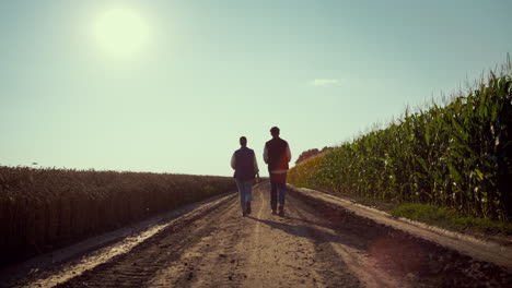 agrónomos caminando por el camino juntos. silhuetas de agricultores inspeccionando la cosecha