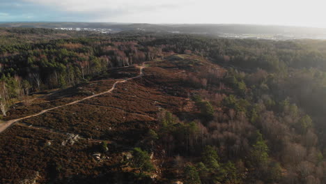 Open-Meadow-Area-in-Autumn-Forest,-Aerial-Drone-Fly-Over,-Sunny-Day