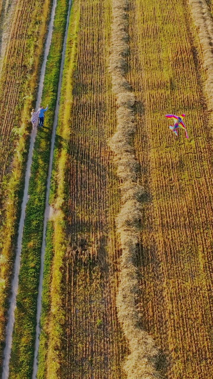 Couple in love running with kite flying on wind. View from above on man and a woman holding hands and walking on the field in summer. Vertical video