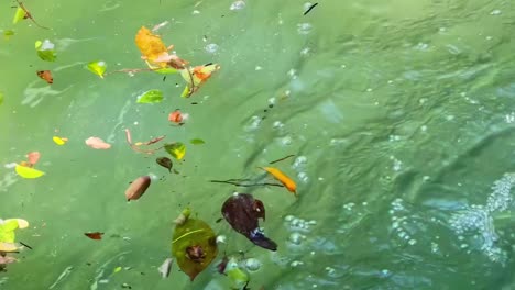 vibrant leaves drift and swirl on a textured green water surface, creating a dynamic and colorful aquatic scene.