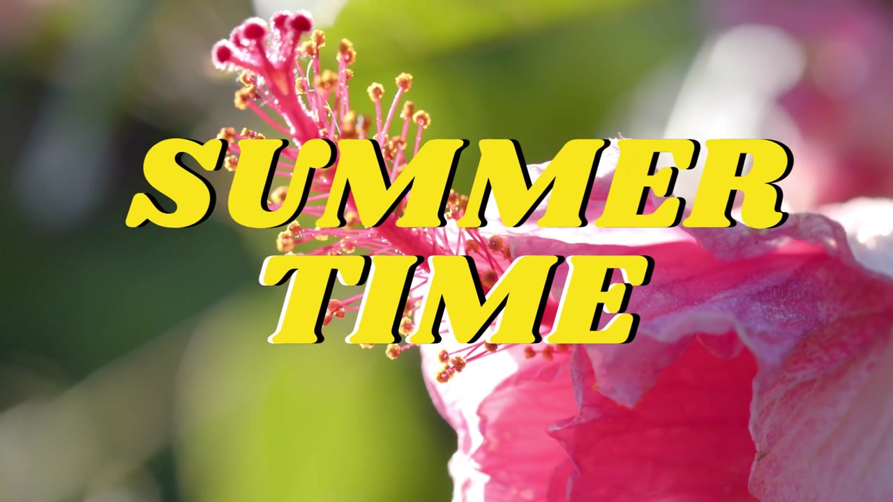 Lens stelt scherp, meeldraad beweegt naar het midden en focust achter gele 'SUMMER TIME' titel voor marketing.