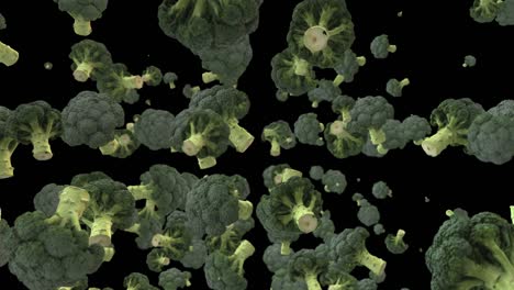 broccoli background 4k