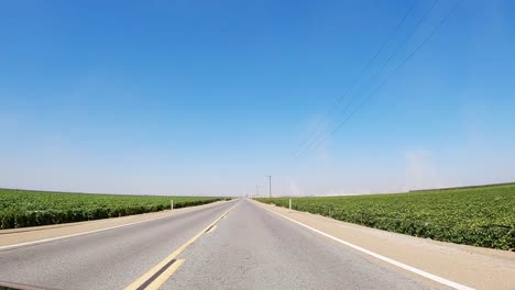 Conduciendo-A-Través-De-Un-Viñedo-En-La-Región-Vinícola-De-Fresno,-California