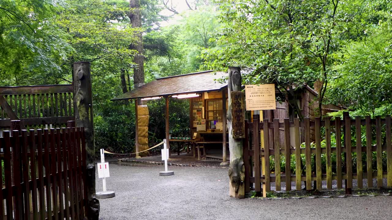 도쿄 최고의 전망