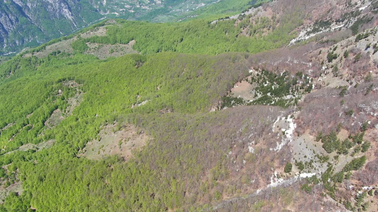알바니아의 드론 뷰는 알프스 산맥에서 날아다니며 산으로 둘러싸인 계곡의 초록 숲을 보여줍니다.