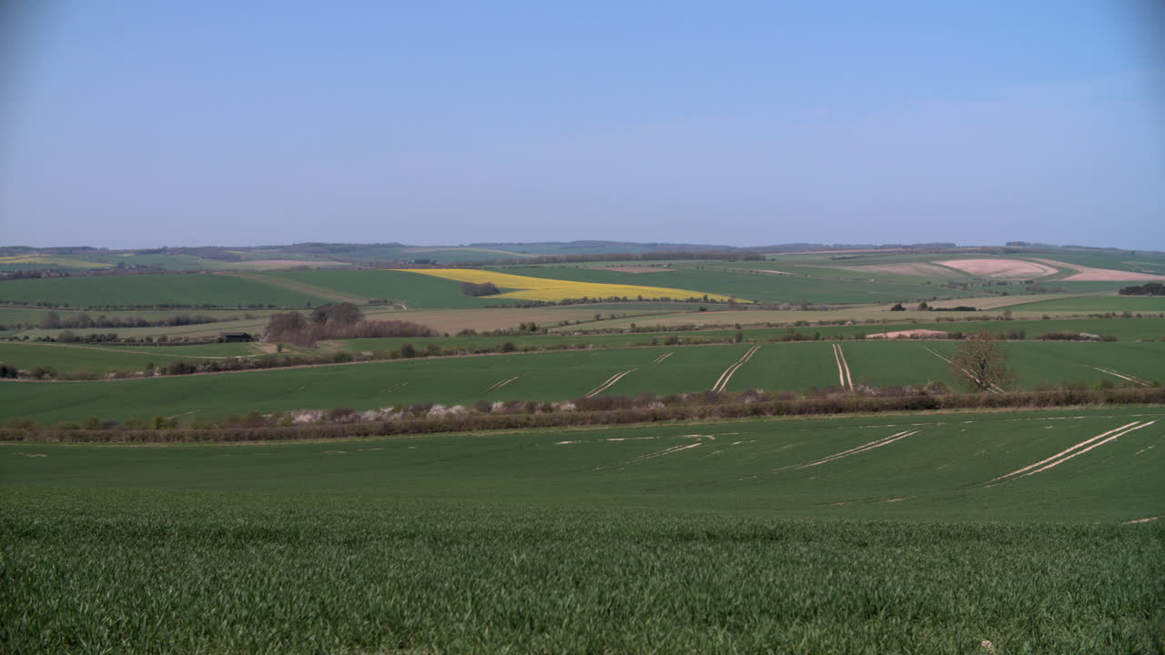 vista panorámica de los campos de la granja de verano con cultivos en el reino unido