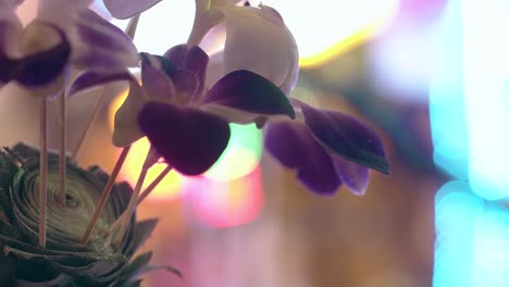 decoración tropical con hojas verdes y orquídeas en flor