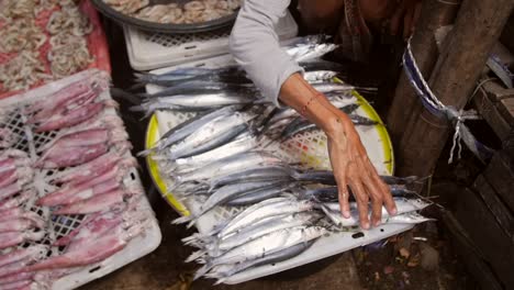 woman arranging fish at a market stall