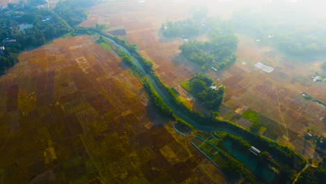 vast farmland and small river in bangladesh - aerial panoramic in morning sunlight