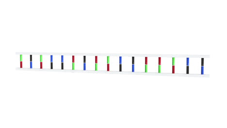 animation of dna moving