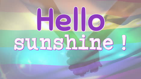 animation of hello sunshine text over rainbow flag and couple holding hands