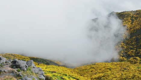 paso de montaña envuelto por espesas nubes vistas desde el pico pico do areeiro en madeira, portugal
