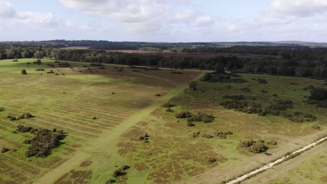 Aerial view of the beautiful landscape of the New Forest National Park in southern England, showcasing its vast greenery and unique terrain. descending shot
