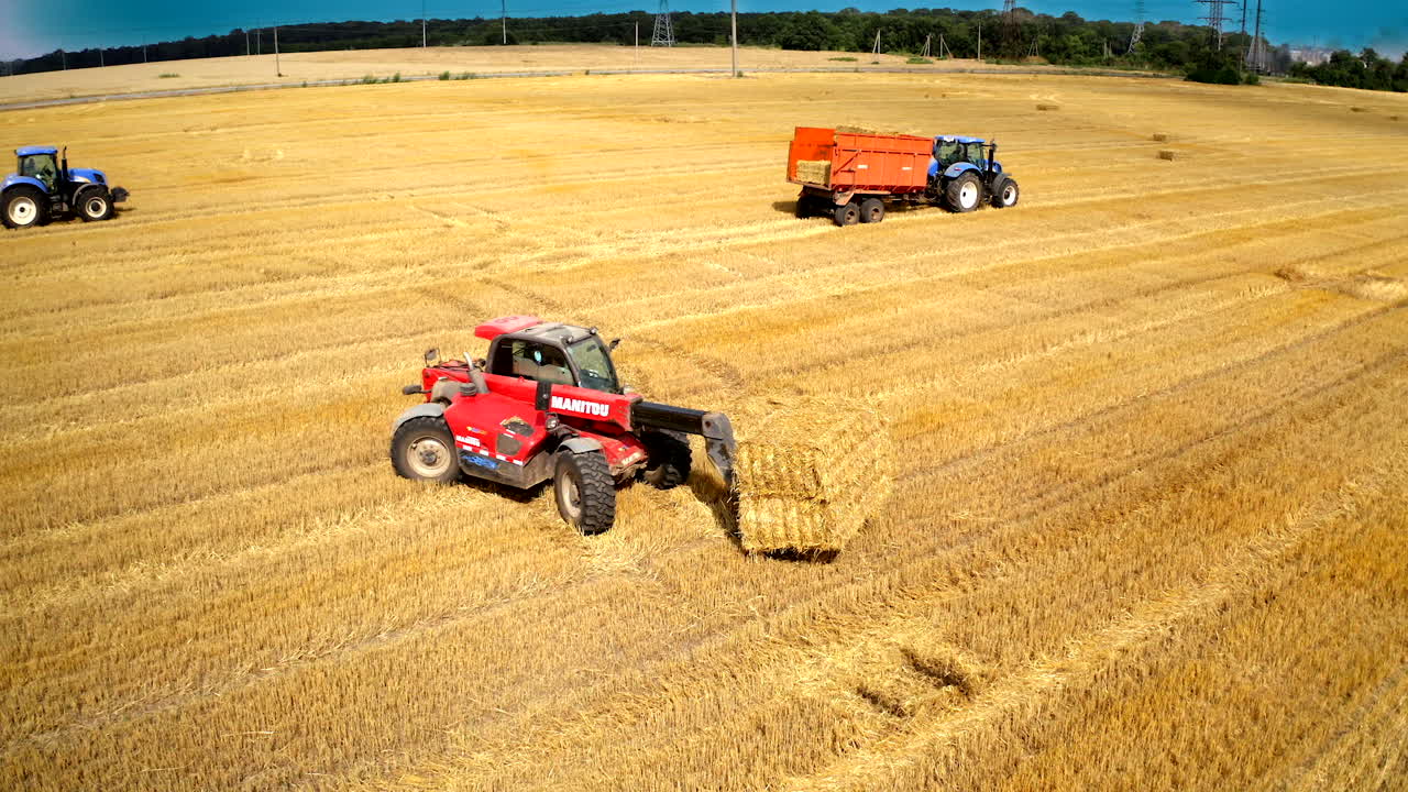 Tractor pulls the mown bales of hay. Piles of hay collected by agricultural machines in haystack