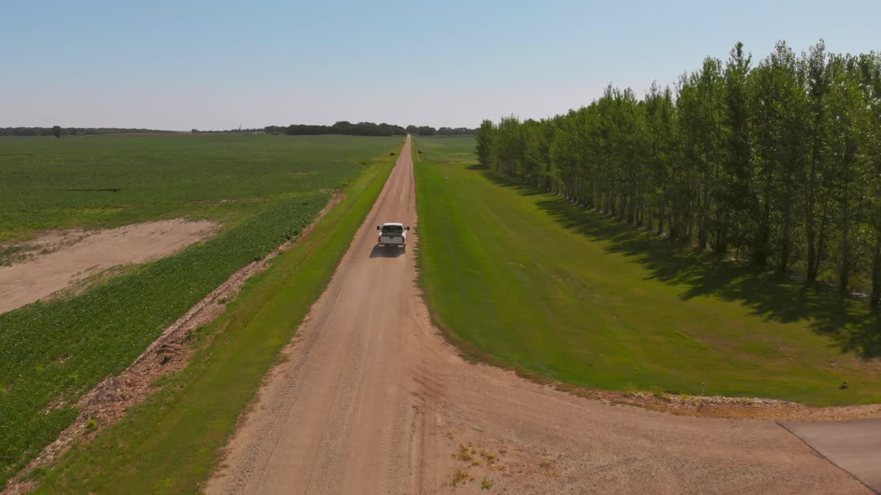 Aerial tracking shot following a white pickup truck driving along a straight dirt road beside open fields and a tree line