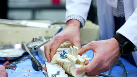hands of an unrecognized male in white robe hold the model of human spine. metal bolts are attached to the mock-up. close up.