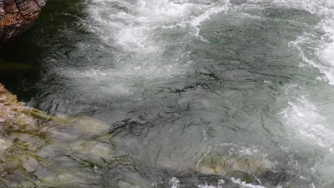 빠른 흐름의 강 급류