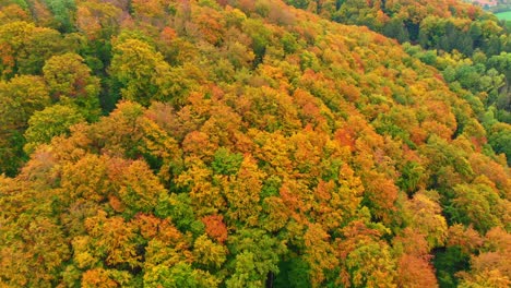 Toma-Aérea-De-Drones-De-Vibrantes-Colores-Otoñales-4k