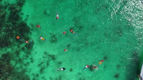 dive into the crystal-clear waters of the belize barrier reef, a mesmerizing underwater world filled with vibrant marine life