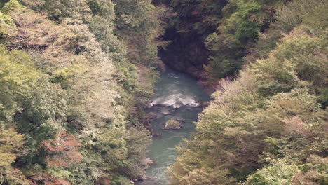 river stream flowing on rocks between dense autumnal foliage in wilderness near town of okutama, japan