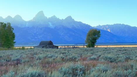 grand teton national park mormon row moulton barns wind tall grass fall aspen golden yellow trees jackson hole wyoming beautiful blue sky late afternoon sunset cinematic pan left motion slowly