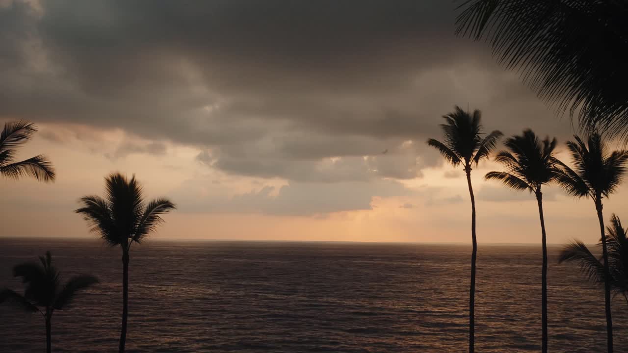Golden sunset light breaks over Pacific Ocean with palm tree silhouettes as rain scatters on water, timelapse
