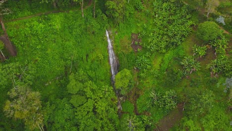 el dron vuela sobre una pequeña cascada en medio de una ladera boscosa y nublada en un día nublado