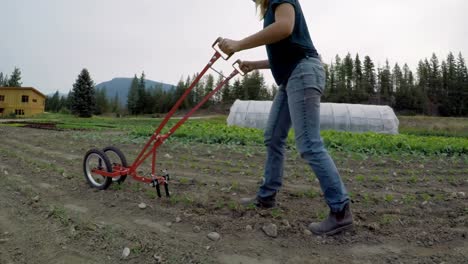 mujer que utiliza equipo agrícola en la granja 4k