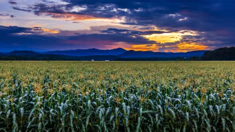 corn field in blue ridge mountains north carolina time lapse
