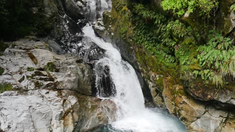 rainforest waterfall flows along moss and fern covered cliff into blue pool