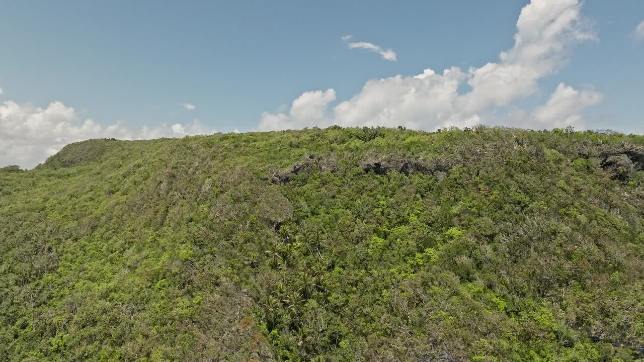 un avión no tripulado se eleva sobre un bosque exuberante y verde con la península de samaná en el fondo, república dominicana