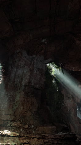 sunlight beams through the entrance of a dark cave in a tropical forest