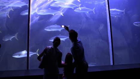 happy family looking at fish and taking pictures