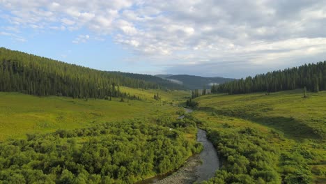 Flug-über-Waldtal-Mit-Ruhigem-Fluss