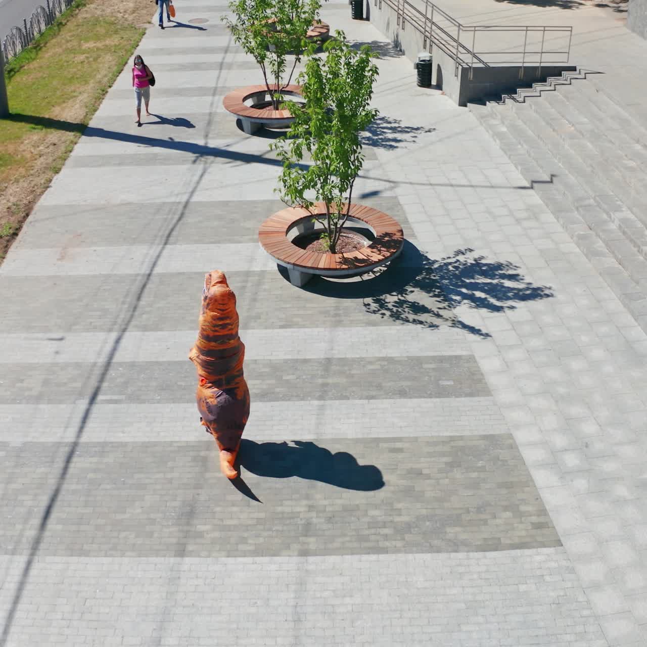 Aktiv, morsom utendørsdyrekarakter. Dragekostyme som spaserer i byparken.