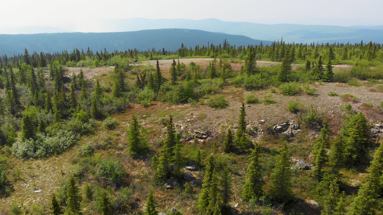 4K drönarvideo över vandringsleden Wickersham Dome i Alaskas White Mountains en solig sommardag